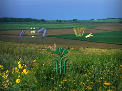 flash ���� Healthway - Northland Filter Systems