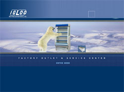 Flash сайт IGLOO