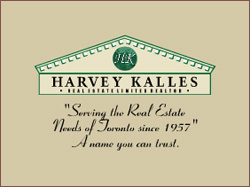 ���������� flash ����� TANYA JIVOV