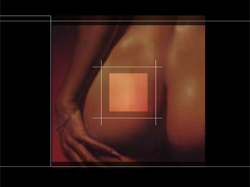 �������� web c���� ���������� �������� Optical Elegance