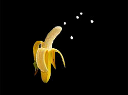 Разработка сайта компании PARADISE GIRLS exotica hardcore